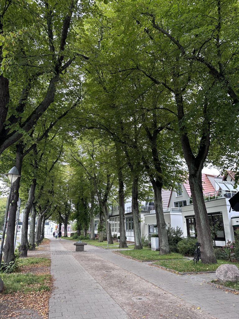 Warnemunde canopy